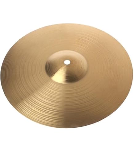 Amazon | Roland シンクラッシュシンバル (CY-12C-T